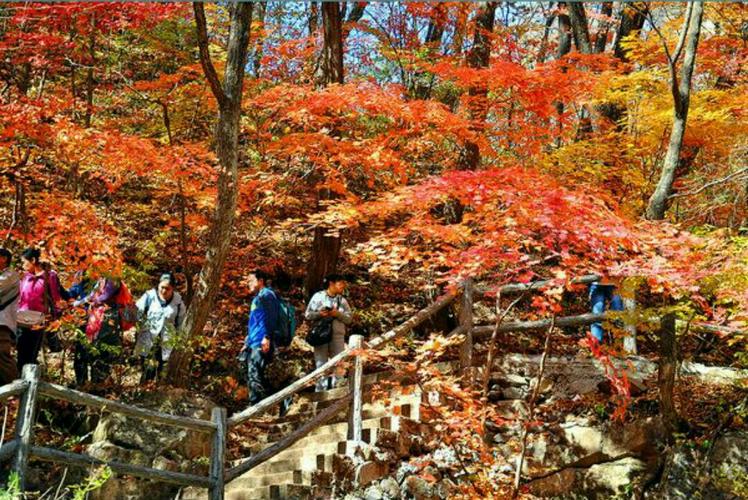 其它 川西-红枫林 什邡市 蓥华 写美篇 川西-红枫岭风景区
