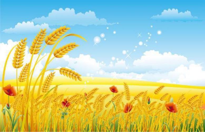 在这个硕果累累的金秋十月,我们记忆课程的小选手们,也来展示我们