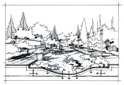 雨水花园|快题中实用万能效果图_手绘_考研_风景_园林