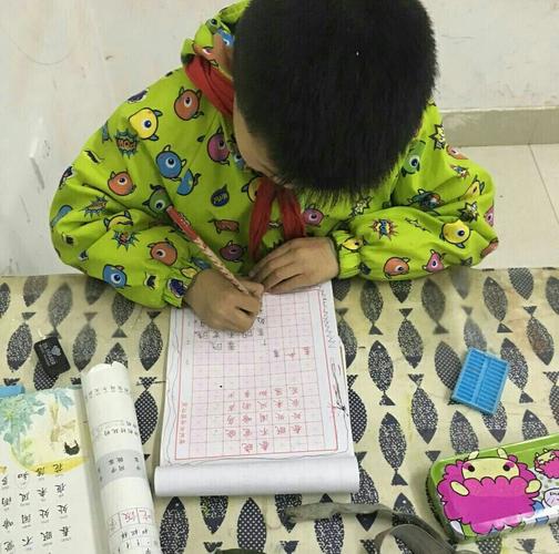 学习时长:二十节课 年级:一年级 姓名:王陈昕泽