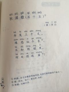 秋浦歌(其十五)