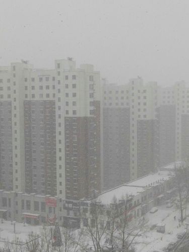 辽宁省本溪市明山区文化路靠近佳音艺术培训中心
