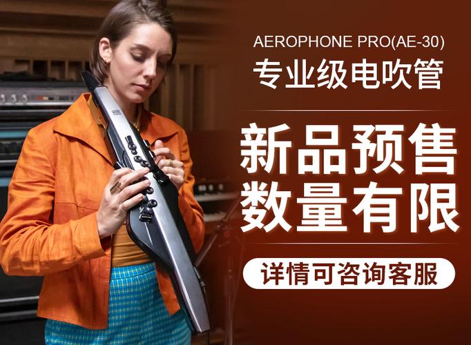 罗兰ae10电吹管ae05电子萨克斯电音管竖笛黑管ae30笛子乐器ae01品质