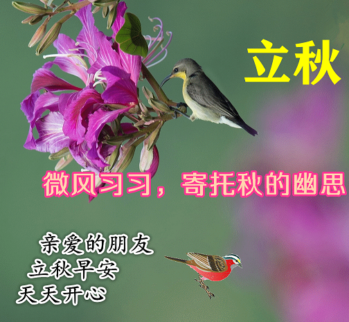 2021年8月7日最新立秋表情图片大全,立秋祝福动态图片问候语