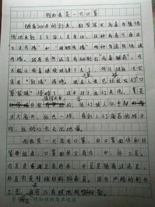 写的有关疫情的作文《假如我是一只口罩》