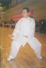 武式太极拳(传统太极拳五大流派之一)