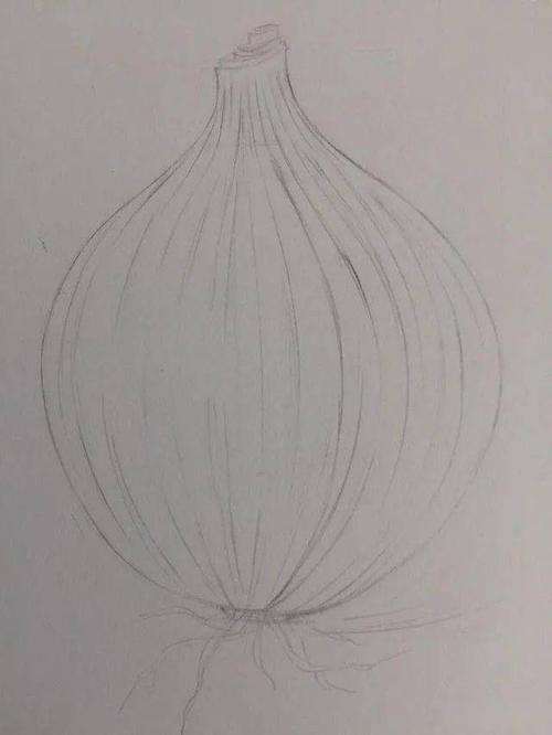 彩铅教程:含泪画完洋葱