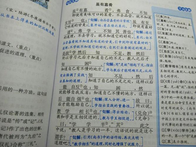 是虽有嘉肴这一课