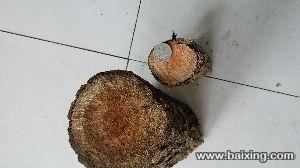 老瓜眼老窝眼