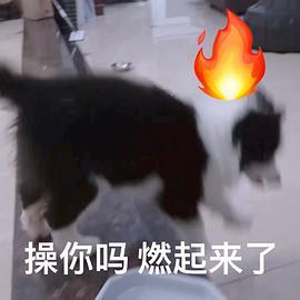 鼠标燃起来了表情包谁有
