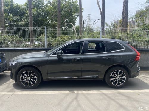 我和我的大灰沃沃xc60