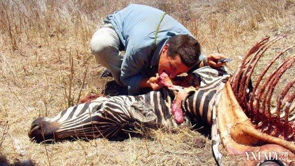 【图】贝尔格里尔斯荒野求生全集 危险与希望并存