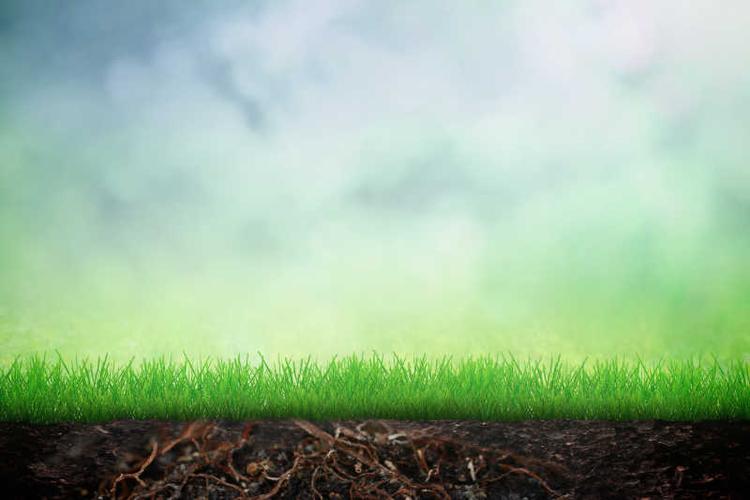 春天的草地与木桌