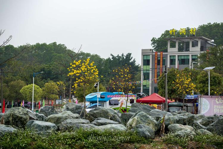 广州花都赤坭镇竹洞村 - 美篇