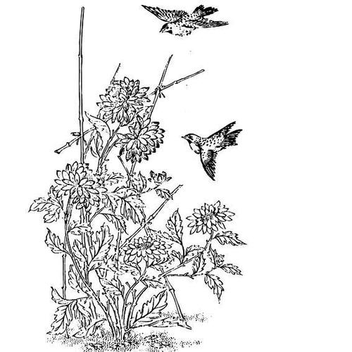 花鸟简笔画图片大全_花鸟简笔画_亲子简笔画大全