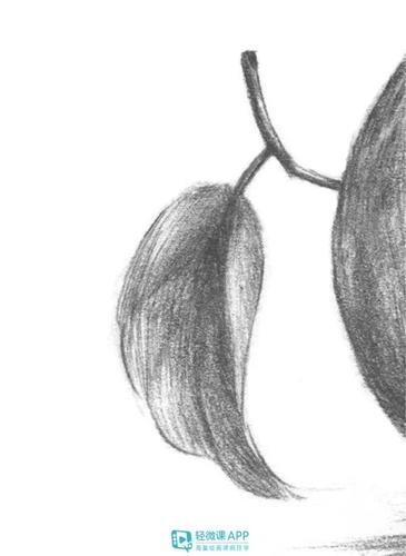 新手素描简单画