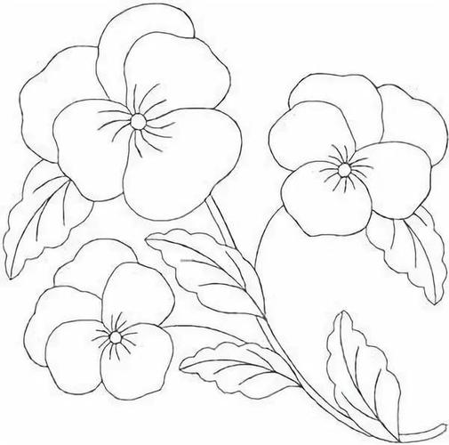 原来开在绣绷上的花,三色堇才是最美的,色彩丰富,精致典雅