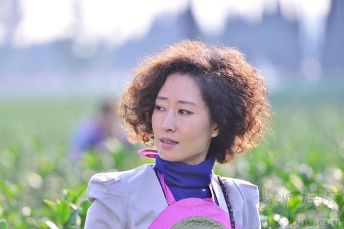 刘敏涛主演《幸福相依》 昨日召开媒体见面会