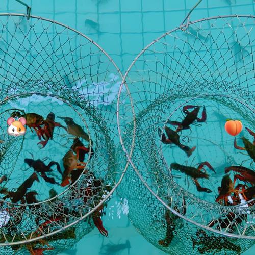 游虾骑士钓虾馆