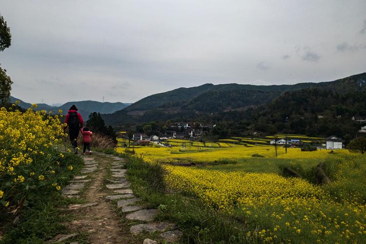 宁波奉化大堰村-西畈村10公里赏花环线