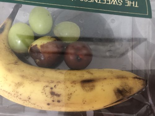 食物发霉的过程