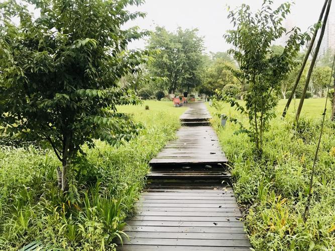 精成都德源镇菁蓉湖城市公园
