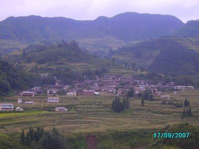 大底德村隶属于云南省富源县墨红镇九河村委会行政村,属于山区.