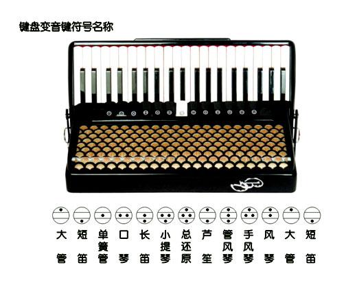 手风琴键盘变音键对照图