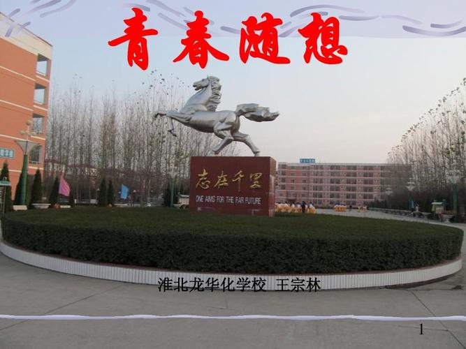 青春随想 淮北龙华化学校 王宗林