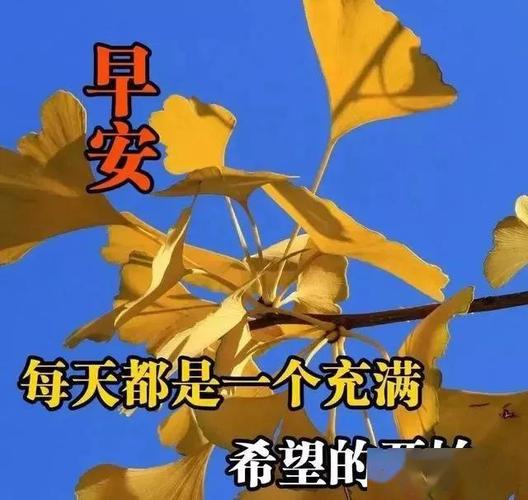 星期六早上好祝福问候语图片带字,暖心的早上好动态表情图片