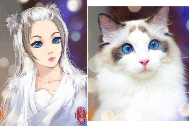 插画收藏&动物拟人