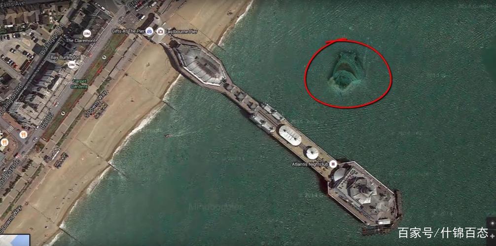 谷歌地球上的神秘未知生物你从未见过的超巨大生物合集