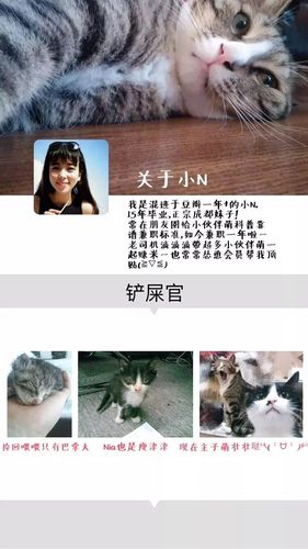 来自: 小n(喵星人~o( =ω= )m)2016-08-21 21:49:18