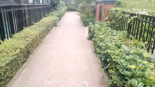 棠湖泊林城(别墅),华府大道三段300号-成都棠湖泊林城