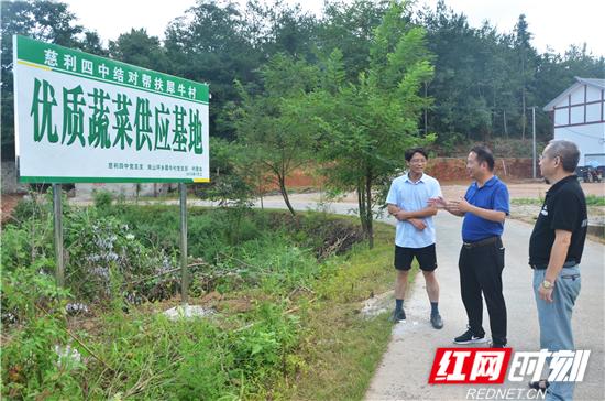 慈利县南山坪乡犀牛村打造产业扶贫新"模本"