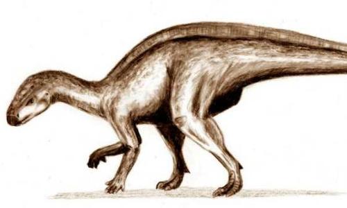 似凹齿龙西班牙中型恐龙长5米生于7000万年前