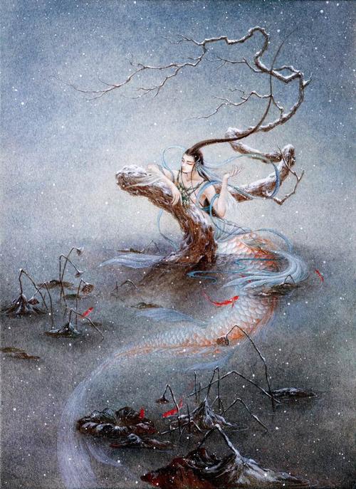 鲛人未知世界的娇子