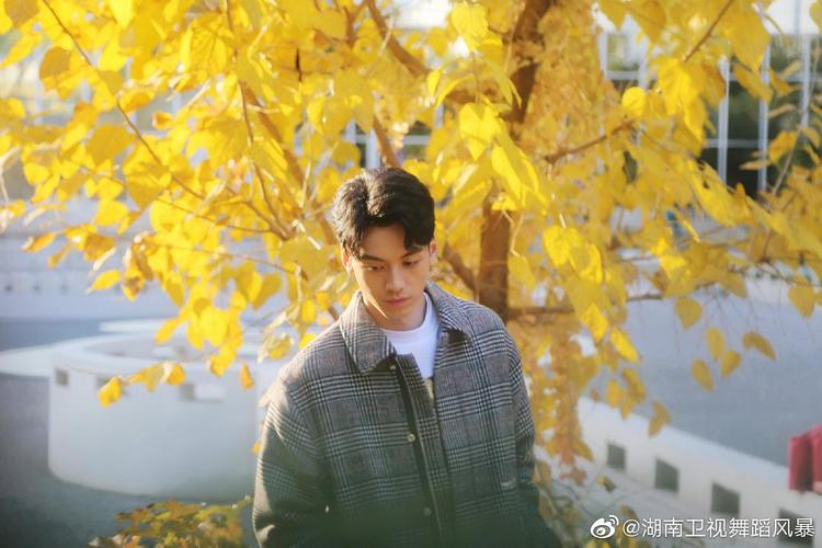 闪耀的星 — 刘迦