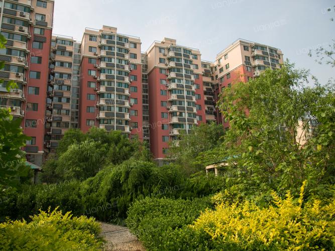 金色阳光花园
