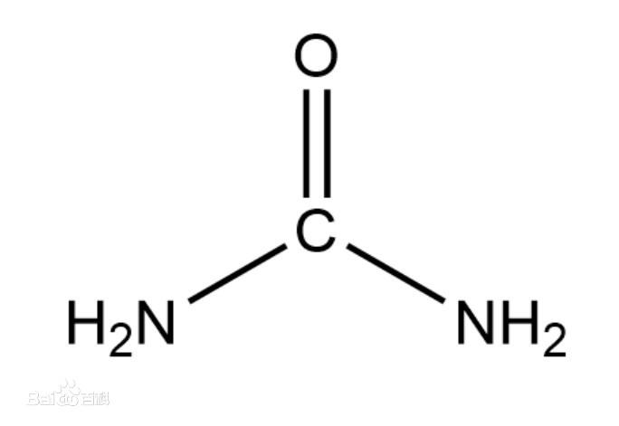 图1:脲 尿素是一种简单的有机小分子,又称为碳酰胺(carbamide)