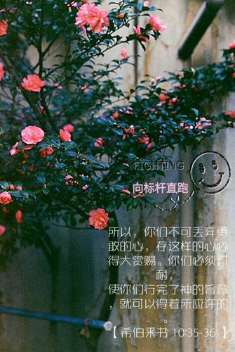 基督教 圣经 经文手机壁纸