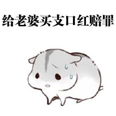 微信头像跟老婆道歉