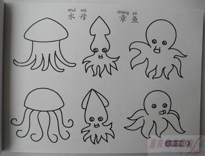 如何水母简笔画步骤