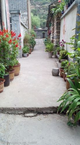 关键词:老房子景观 花草 老房子 小路 自然风景 旅游风景 国内旅游