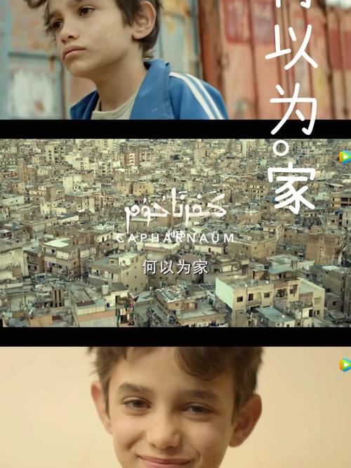 92《何以为家》_电影_读书_怀孕