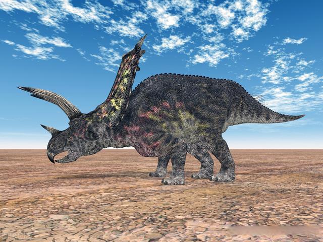 五角龙竟然只有三只角?《恐龙全书》