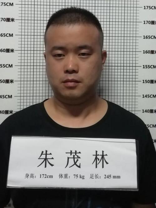 犯罪嫌疑人朱茂林,绰号"小朱",男,1988年10月12日出生,户籍地为铜陵市