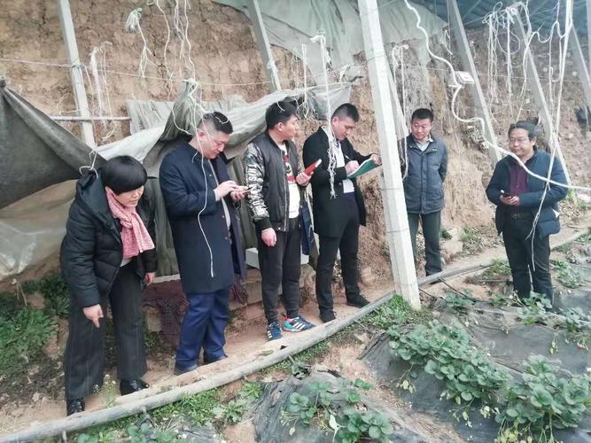 泗水县农业农村局到中册镇开展乡村振兴调研