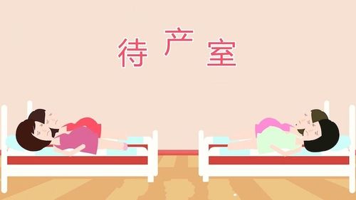 孕期视频