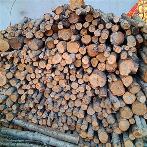 手工桃木桃树木雕原料原木中国练手料圆雕怀旧复古植物实木干料